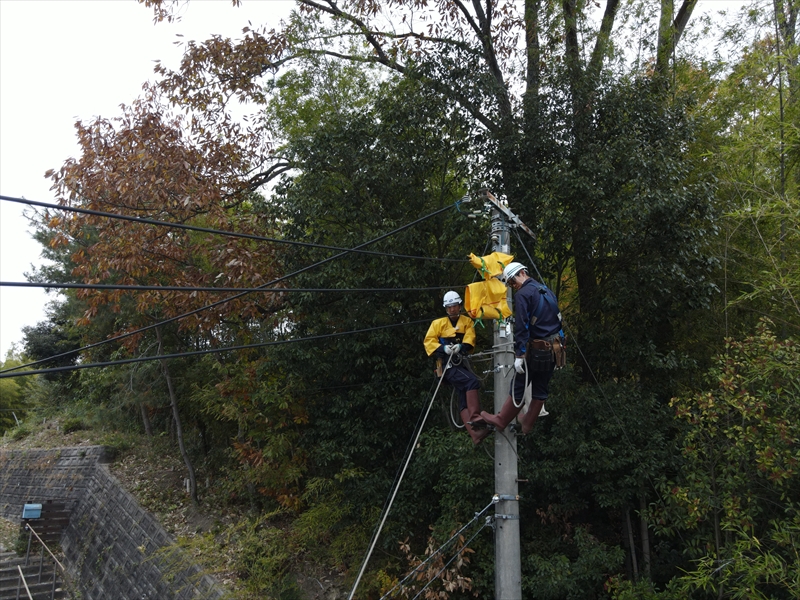 株式会社おだでん